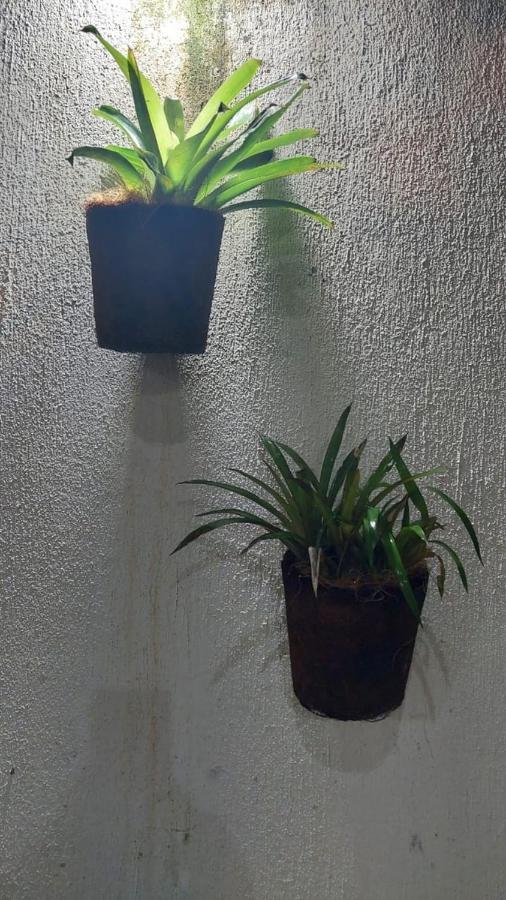 Pousada Vila Mar باراتي المظهر الخارجي الصورة